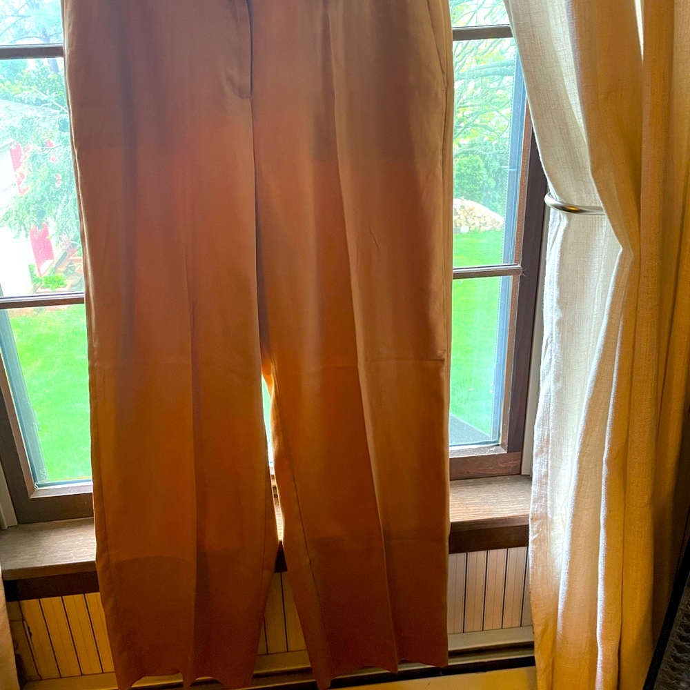 NWT J. Crew Brown Pants in Size 12